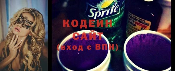 индика Баксан