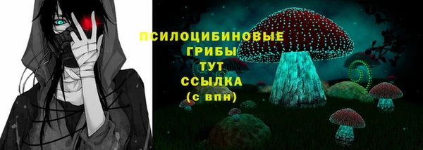 индика Баксан