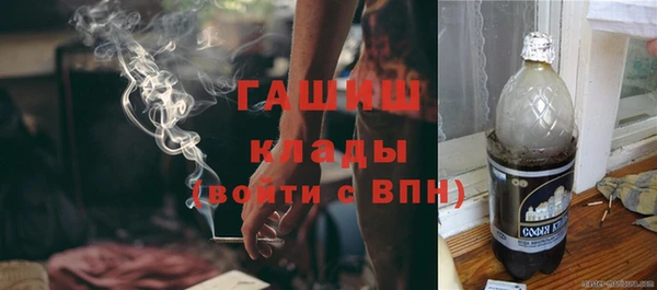 индика Баксан
