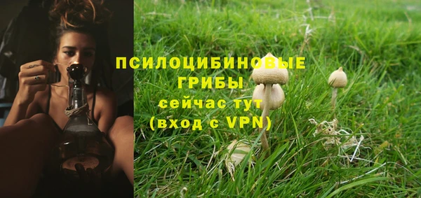 бошки Балахна