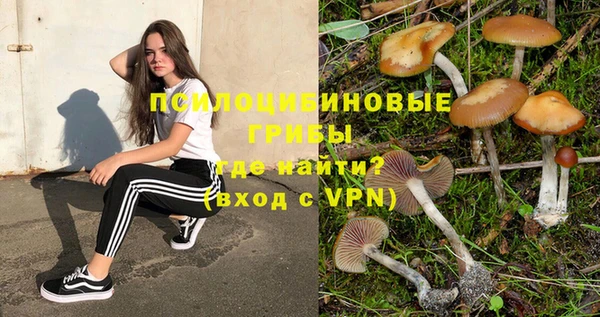 индика Баксан