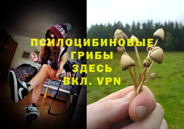 бошки Балахна