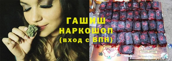 индика Баксан
