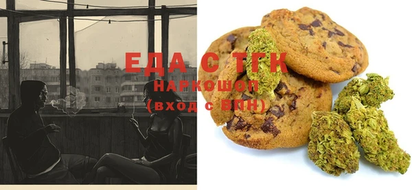 индика Баксан
