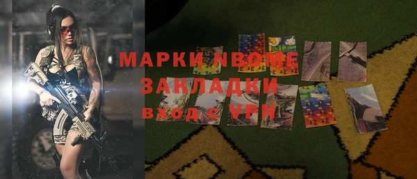 индика Баксан