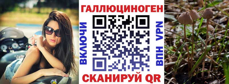 Псилоцибиновые грибы мицелий  площадка как зайти  Всеволожск  KRAKEN  